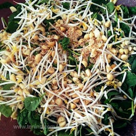 Crunchy-Asian-Green-Salad