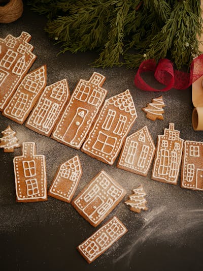 The Best Thermomix Gingerbread Cookies