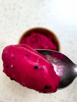 Instant Fruity Ice Cream