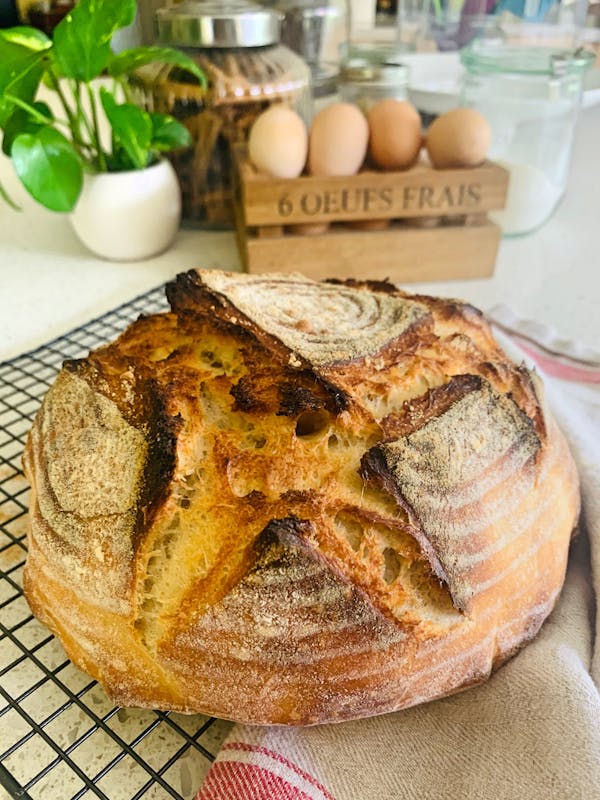 Lazy Sourdough Loaf 1 P Thermomix