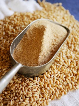 Malt Powder