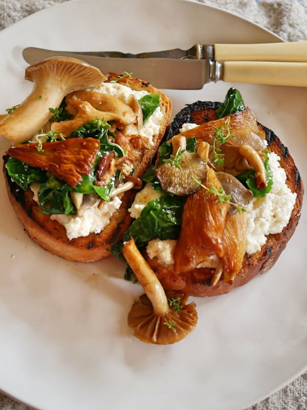 Musrooms on Ricotta Toast P TENINA