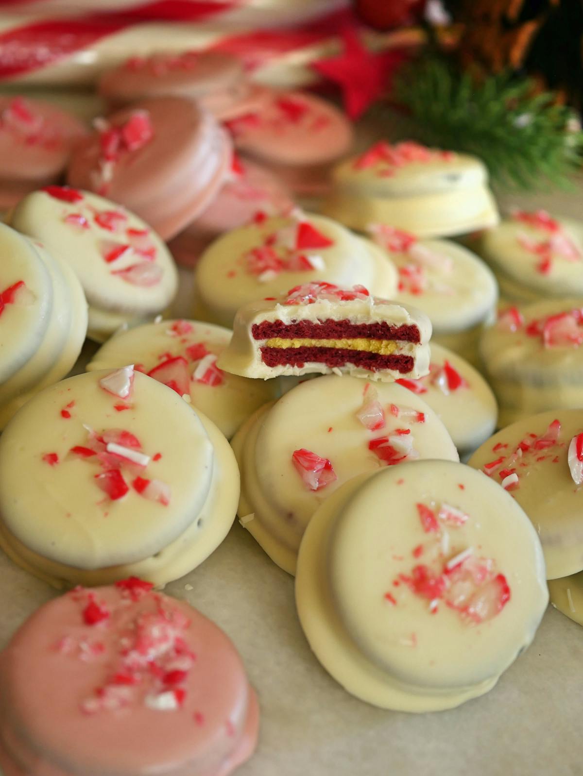 Thermomix recipe Choc Coated Peppermint Oreos