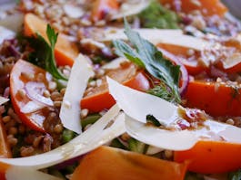 Persimmon Fennel Salad LS CU Thermomix