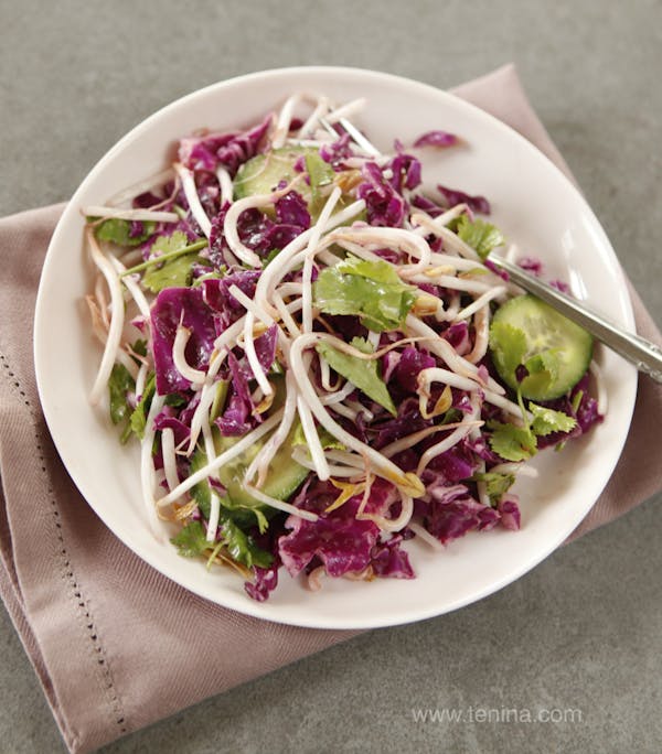 Red-Cabbage-and-Sprout-Salad