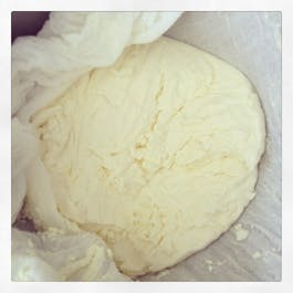 Ricotta-cheese-no-herbs