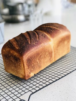 Rye Sourdough Double Loaf