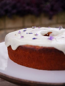 Sourdough Lemon Cake P SOURDOUGH