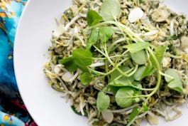 skinnymixers-asian-herb-salad